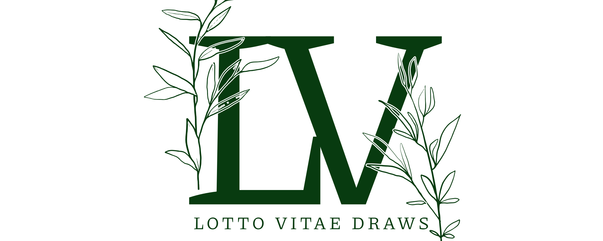 Lotto Vitae Draws